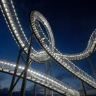 Tiger & Turtle (2)