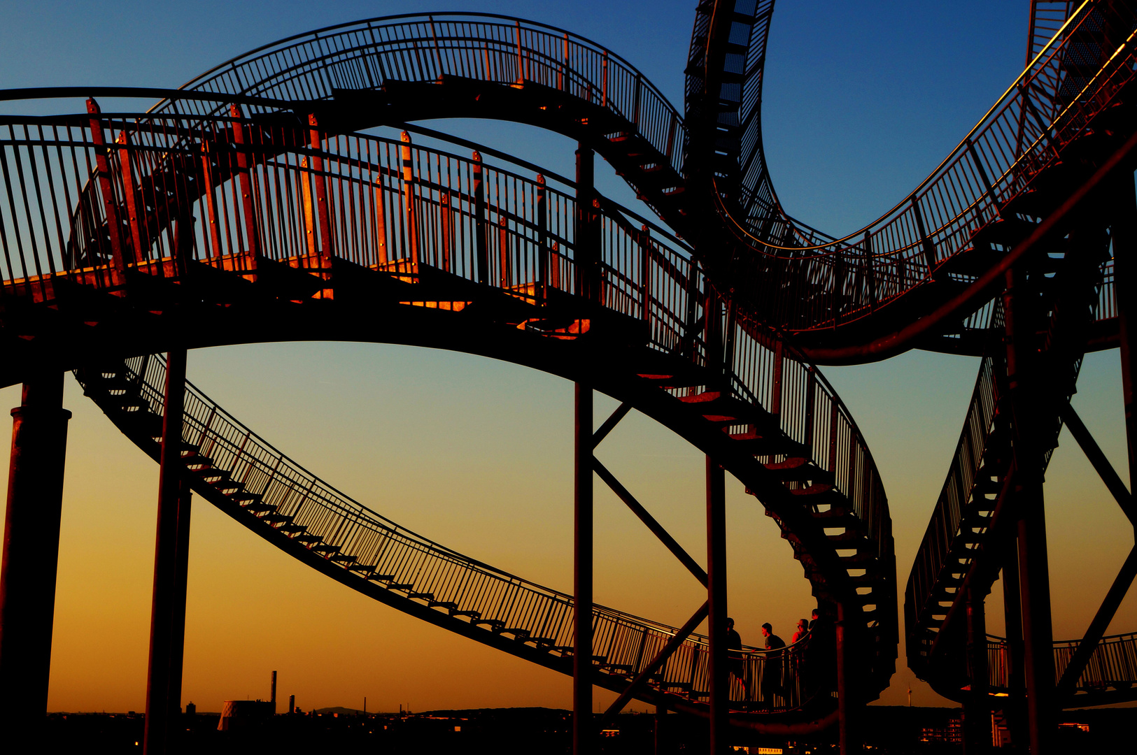 Tiger &Turtle 2