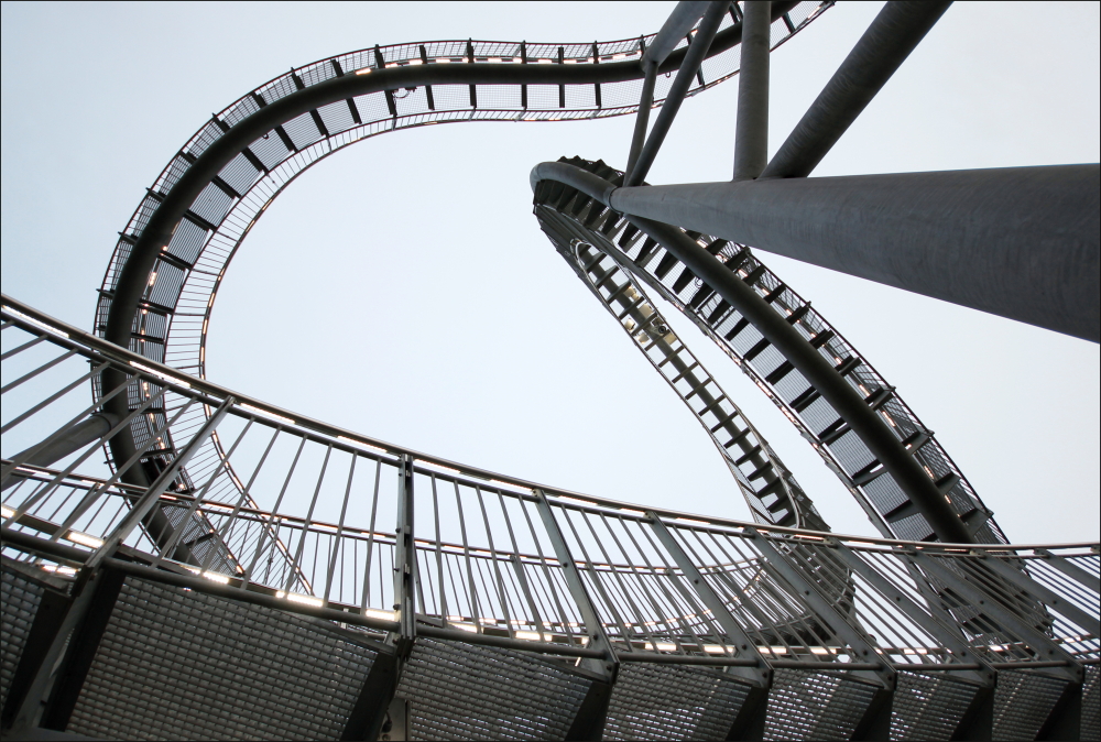 Tiger & Turtle 20