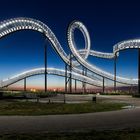 Tiger & Turtle 2017