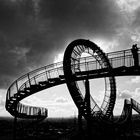 Tiger & Turtle 