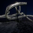 * Tiger & Turtle *