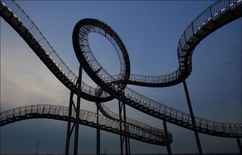 Tiger & Turtle 21