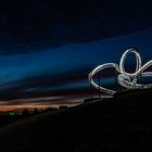 Tiger & Turtle