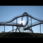 Tiger & Turtle