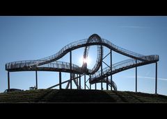 Tiger & Turtle