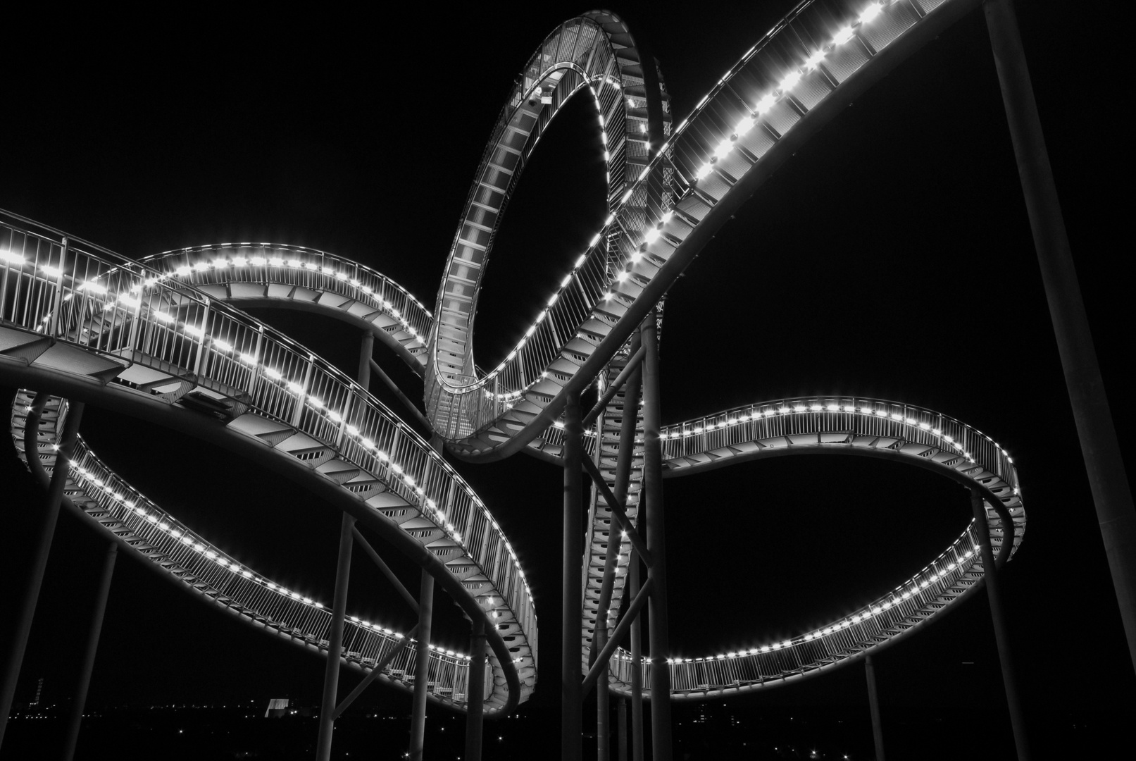 TIGER & TURTLE