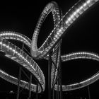 TIGER & TURTLE