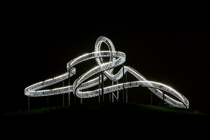 Tiger & Turtle