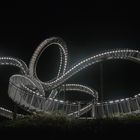 Tiger & Turtle