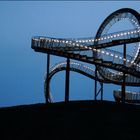 Tiger & Turtle 23