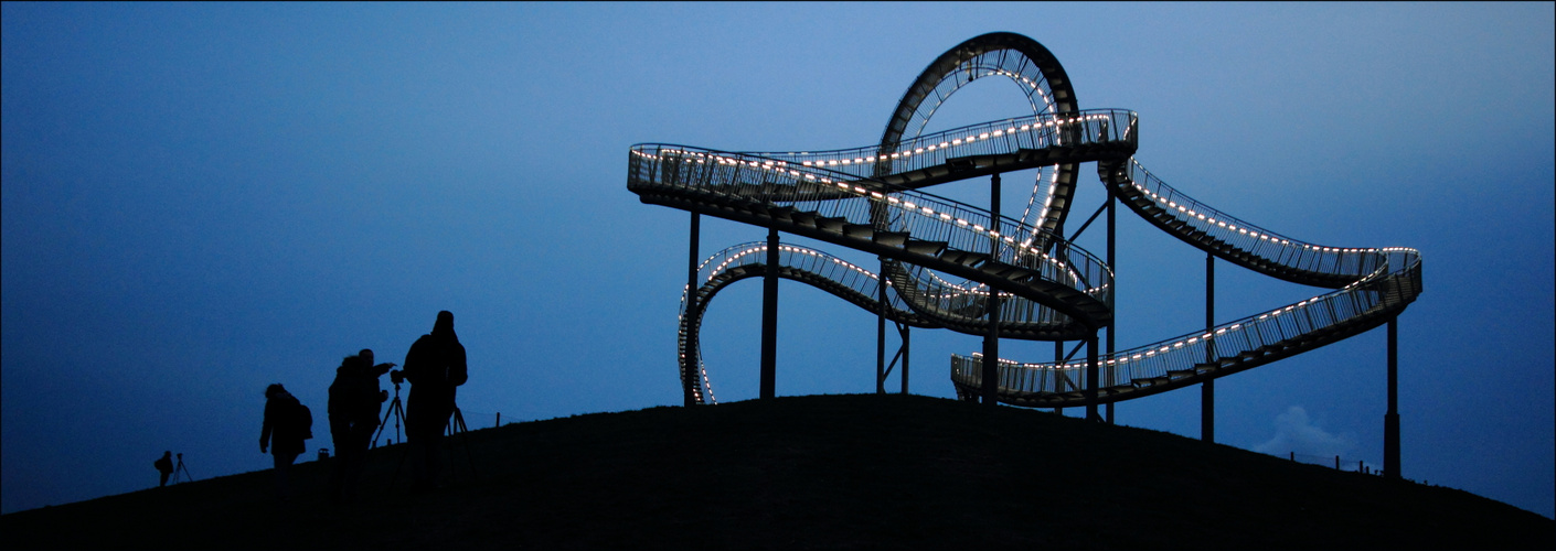 Tiger & Turtle 23