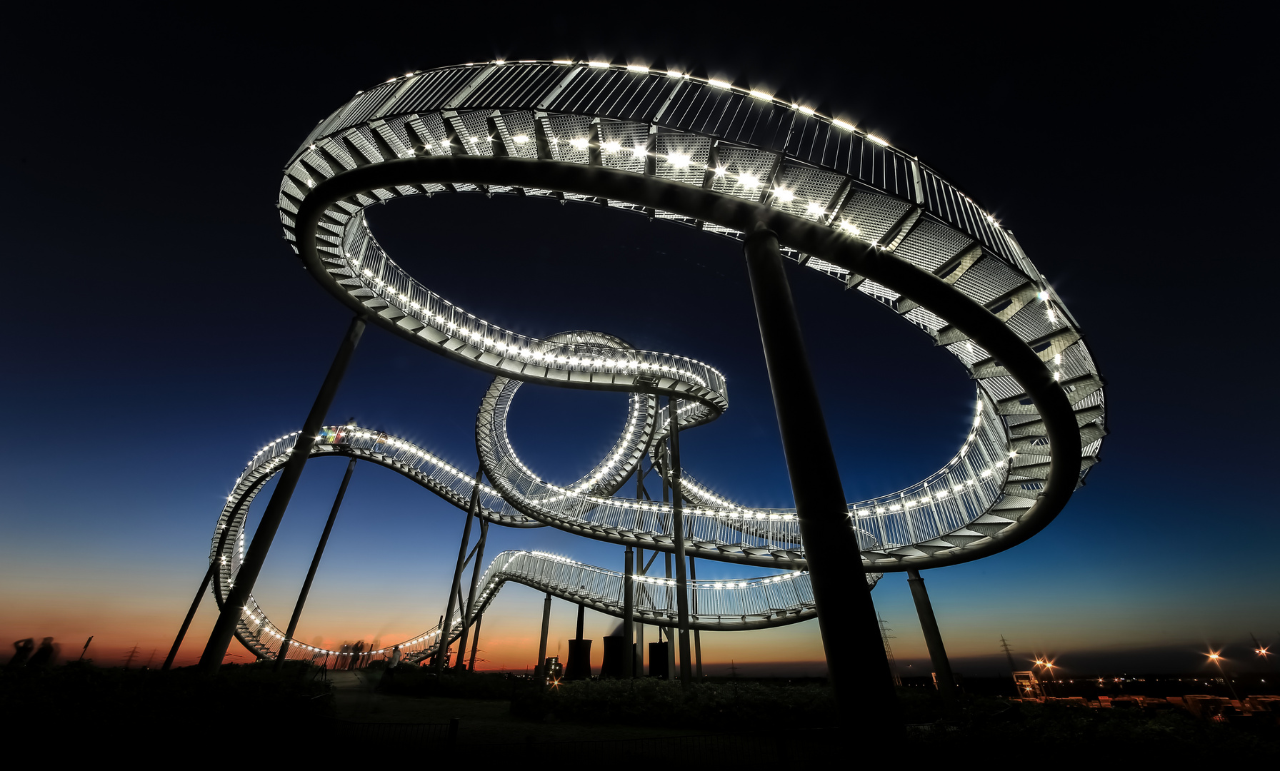 Tiger & Turtle