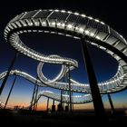 Tiger & Turtle