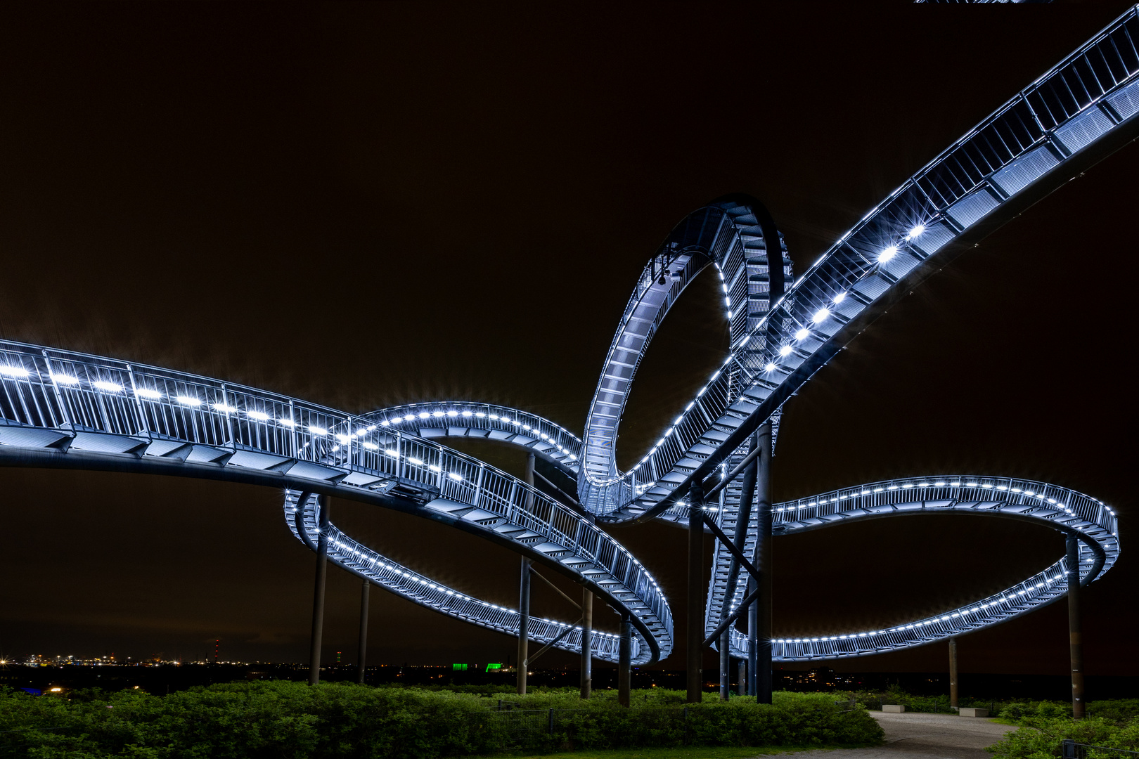 Tiger & turtle