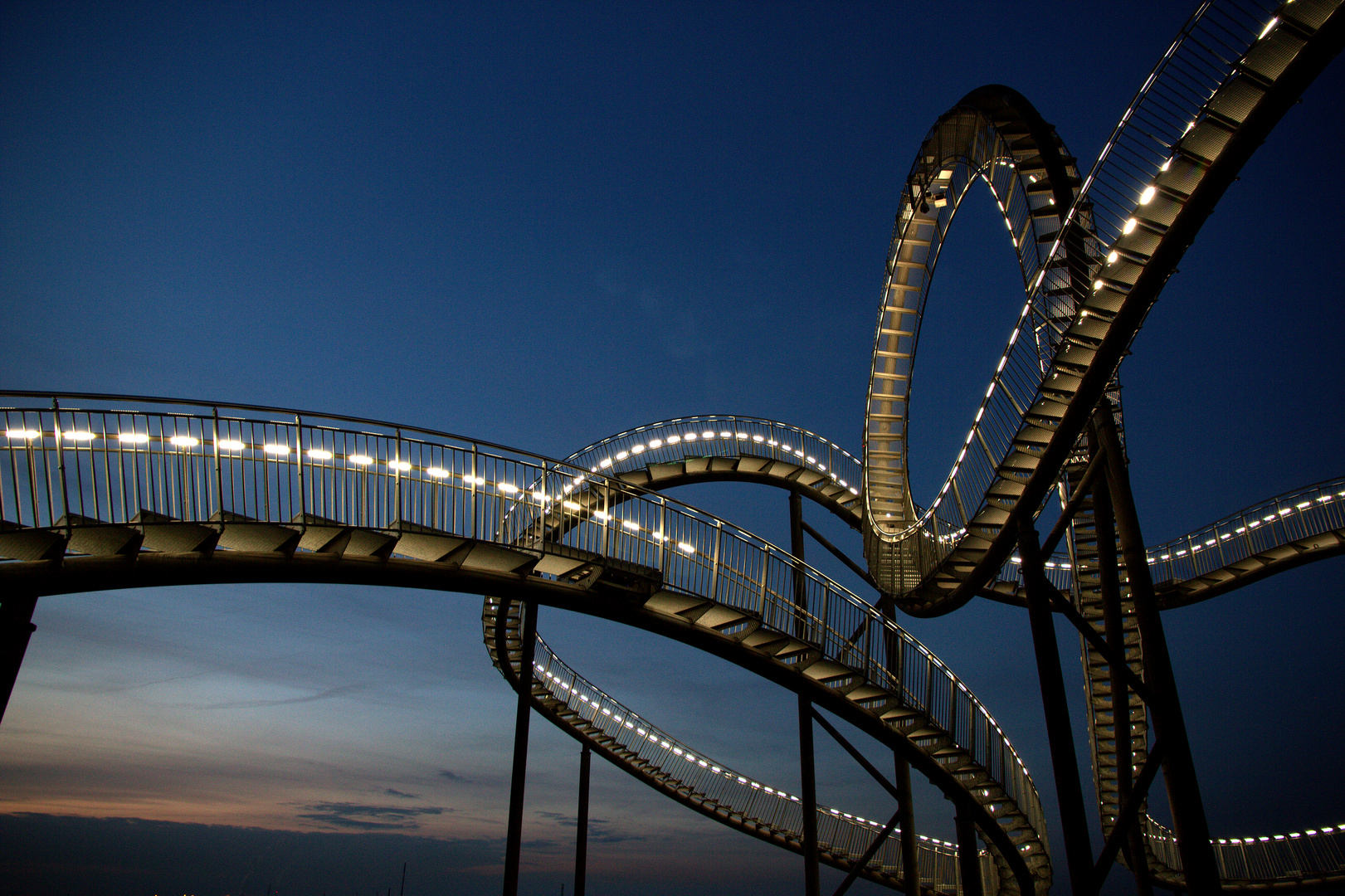 Tiger & Turtle