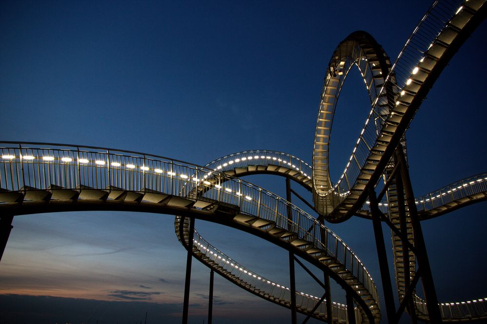 Tiger & Turtle