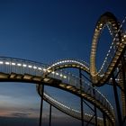 Tiger & Turtle