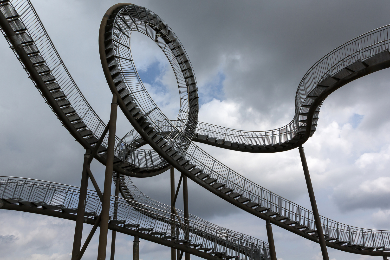 Tiger & Turtle