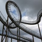 Tiger & Turtle