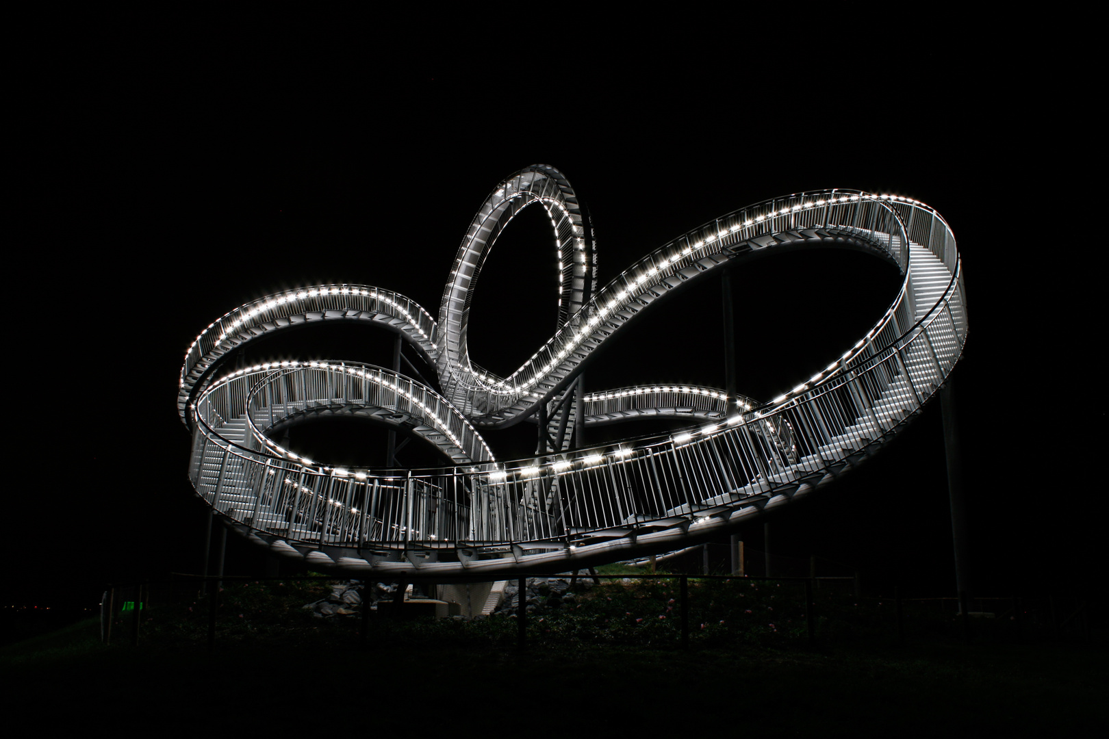 Tiger & Turtle