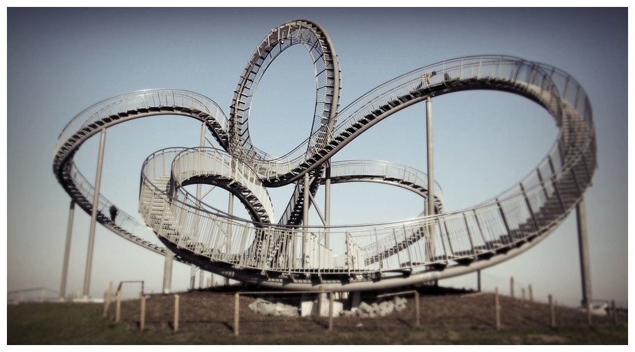 Tiger & Turtle