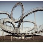 Tiger & Turtle