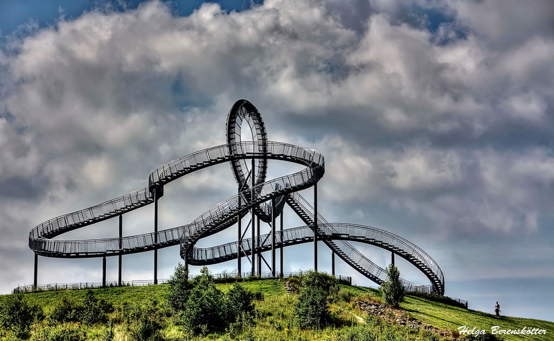 Tiger & Turtle