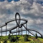 Tiger & Turtle