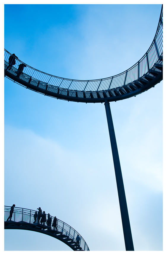 tiger & turtle