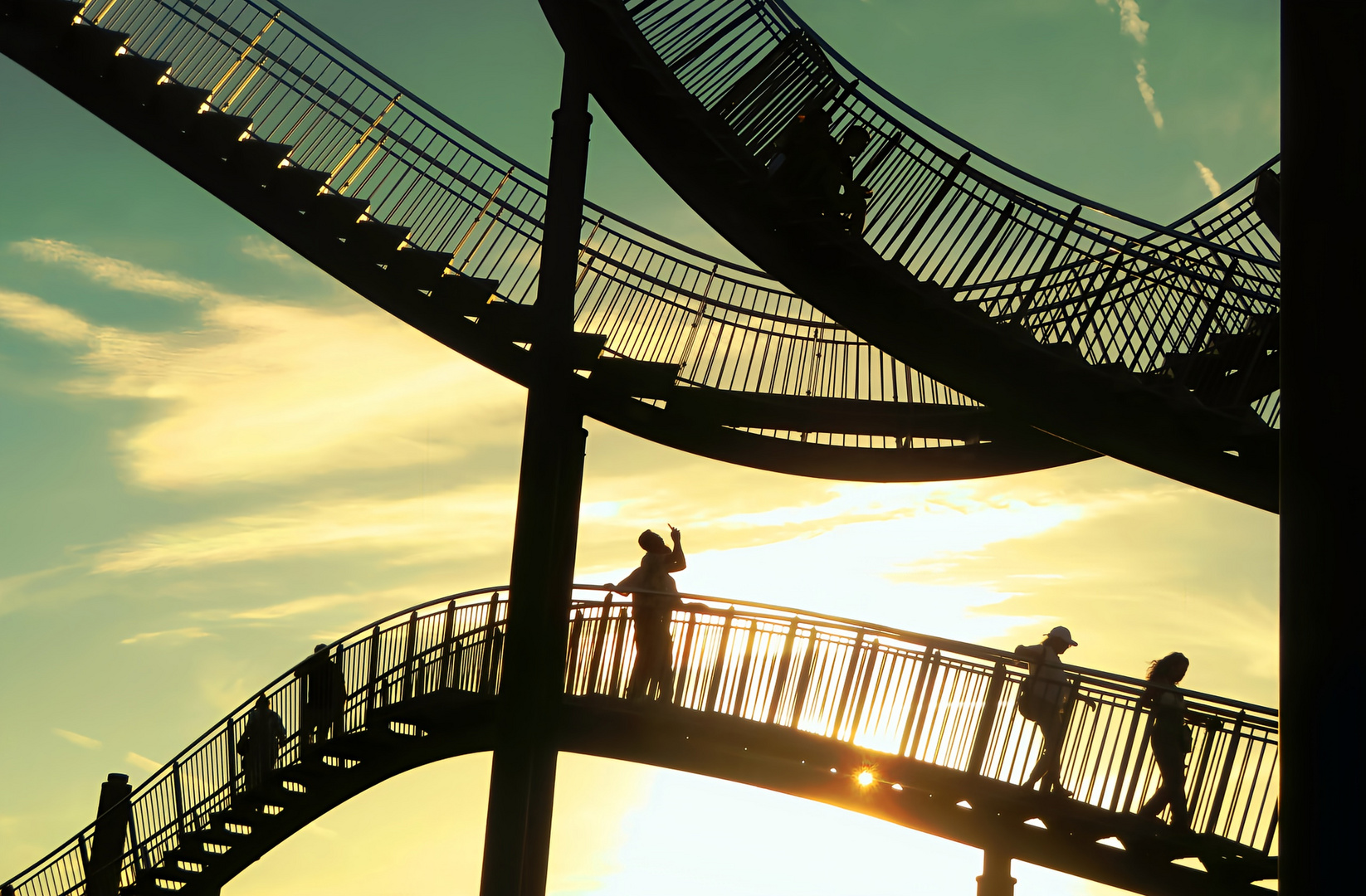 Tiger &Turtle...