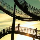 Tiger &Turtle...