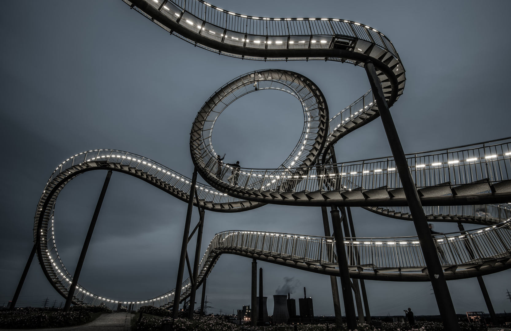 Tiger & Turtle