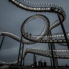 Tiger & Turtle