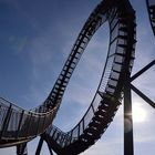 Tiger & Turtle