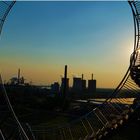 Tiger &Turtle 3