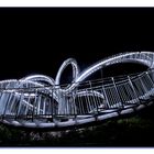 Tiger & Turtle 3