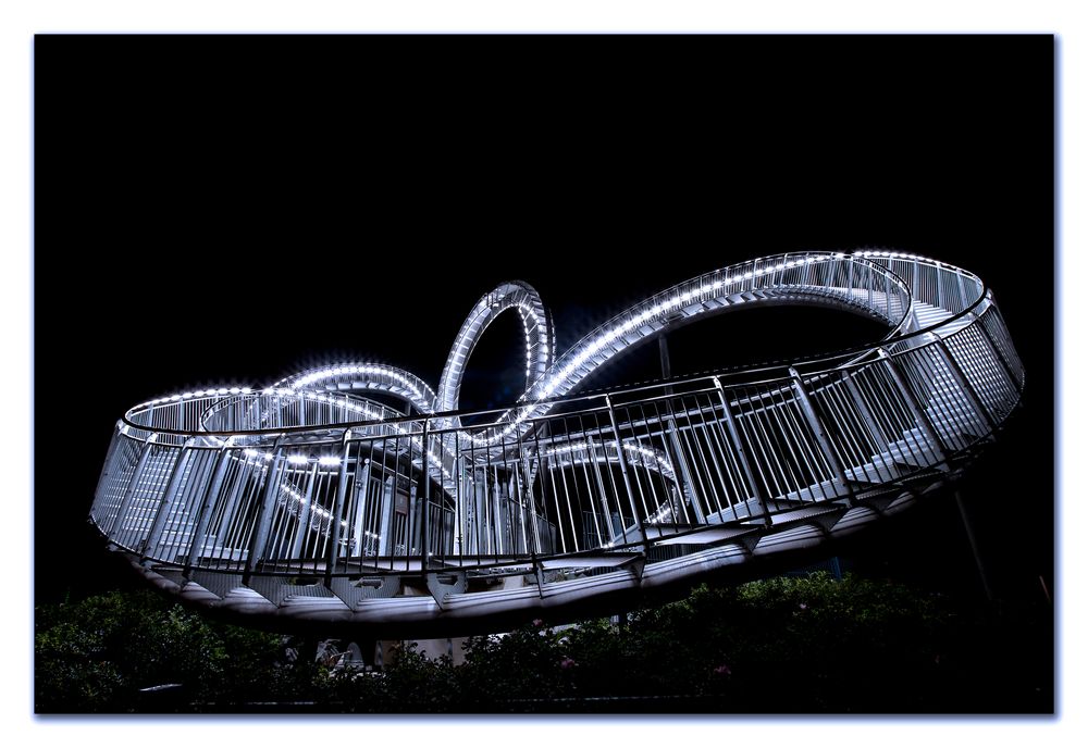 Tiger & Turtle 3