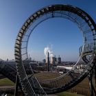 Tiger & Turtle 3