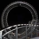 Tiger & Turtle 3