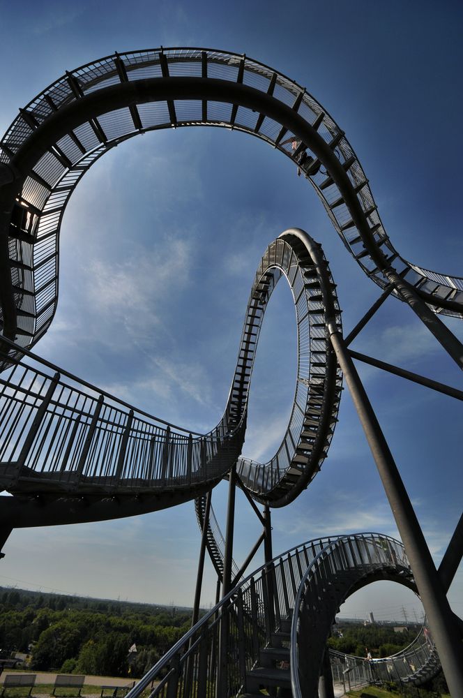 Tiger & Turtle 3