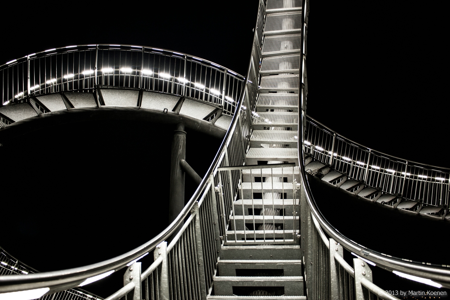 Tiger & Turtle 3