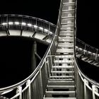 Tiger & Turtle 3