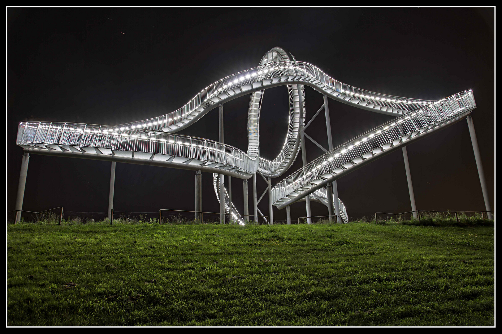 Tiger & Turtle 3