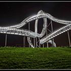 Tiger & Turtle 3