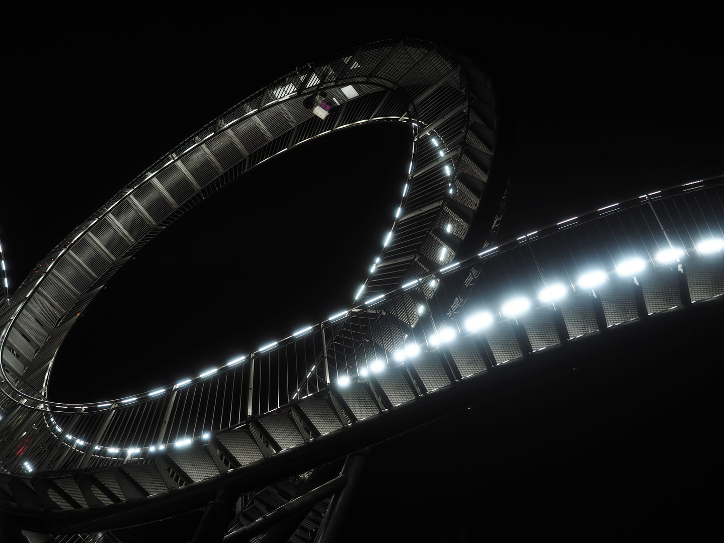 Tiger & Turtle 3