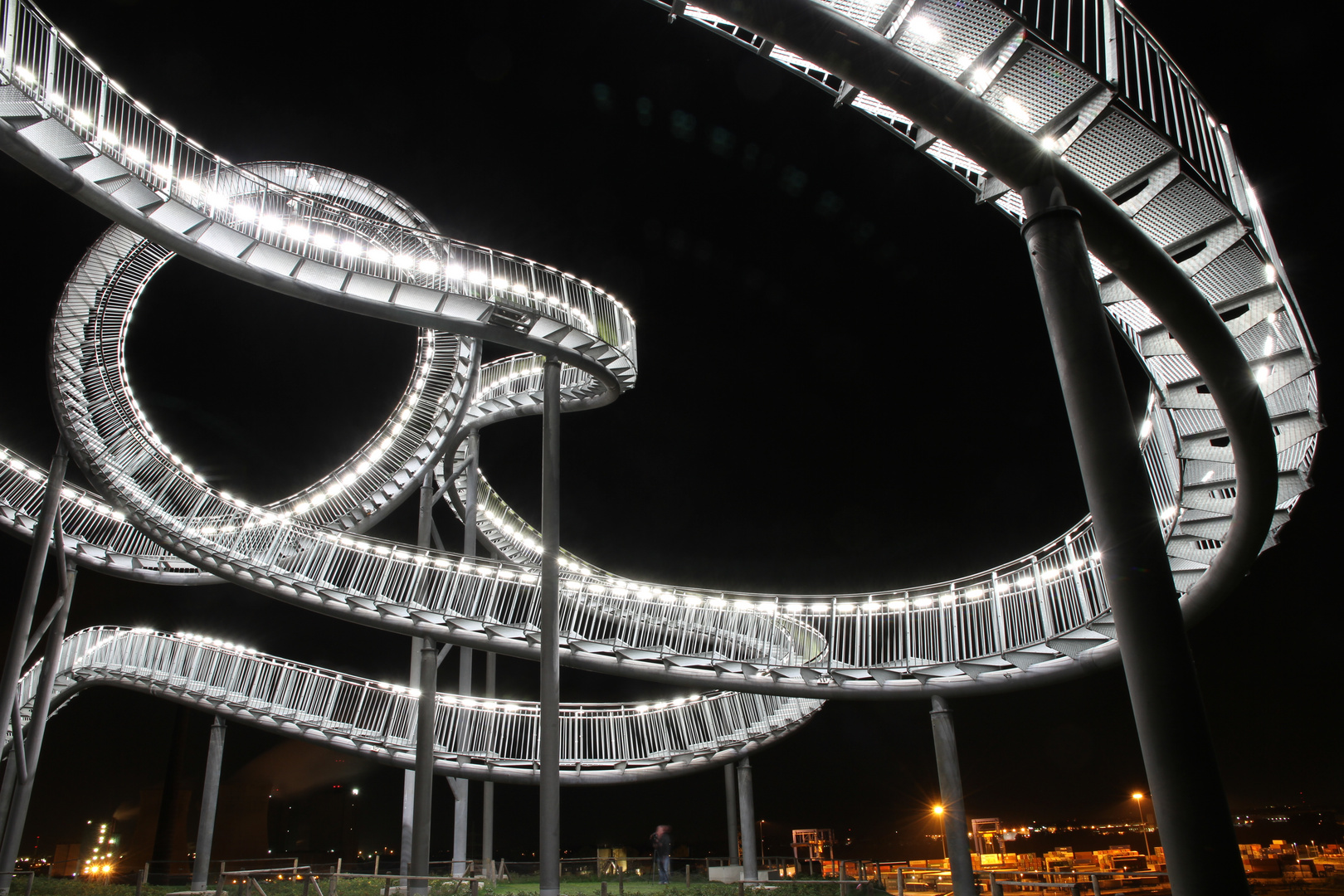 Tiger & Turtle 3