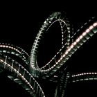 Tiger & Turtle - 3