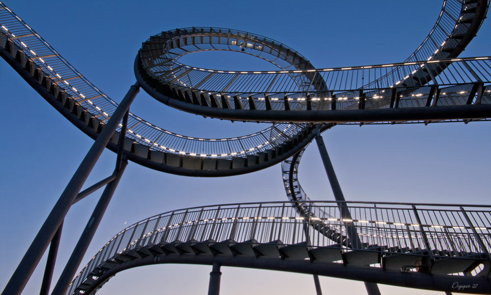 Tiger & Turtle 3