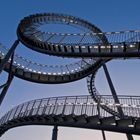 Tiger & Turtle 3